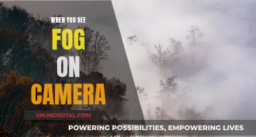 Mysterious Fog in Photos: Capturing the Elusive