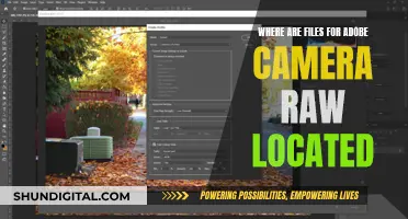 Finding Adobe Camera Raw Files: Location and Access