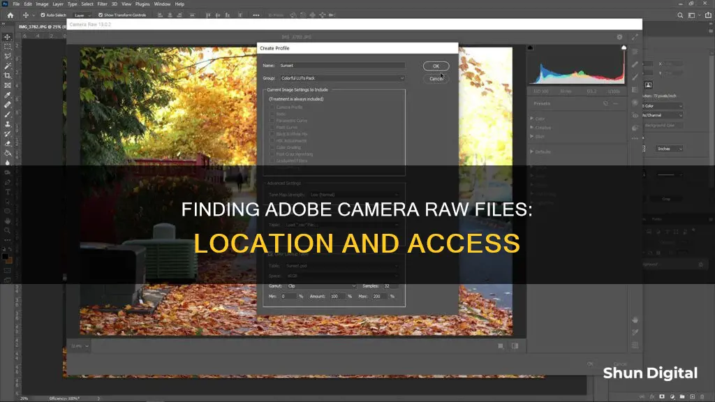 where are files for adobe camera raw located