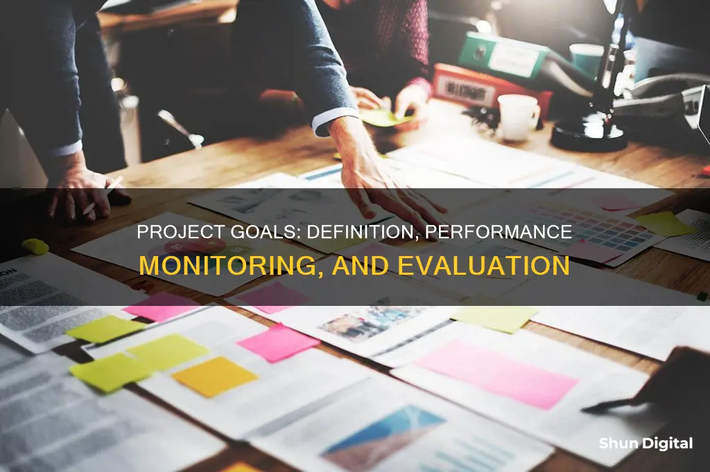 where are org projects goals defined and performance monitored