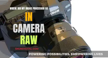 Where is My Image Processor? Camera Raw's Missing Feature