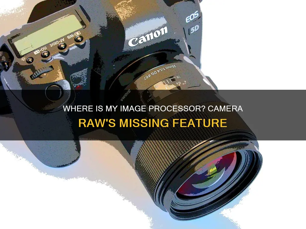 where did my image processor go in camera raw