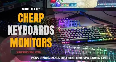 Best Budget Keyboards and Monitors: Where to Buy?