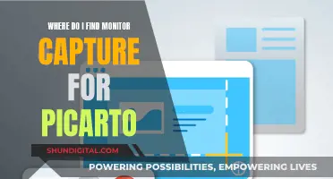 Finding Monitor Capture for Picarto: A Step-by-Step Guide