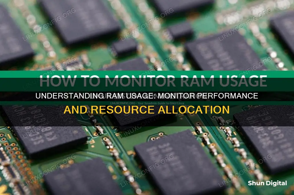 where do you find the ram monitor