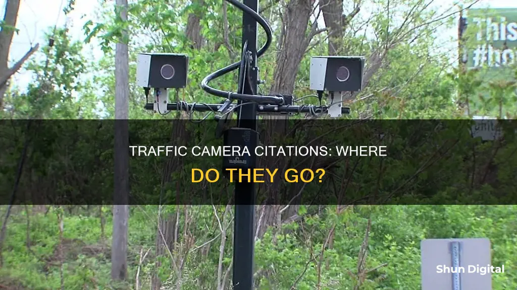 where does it go when traffic camera citation