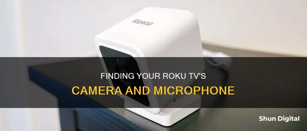 where is camera and microphoine on roku tv