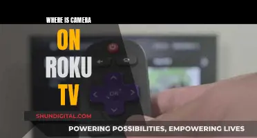 Finding the Camera on Your Roku TV