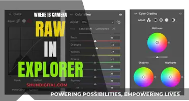 Finding Camera Raw: Explorer Secrets Revealed