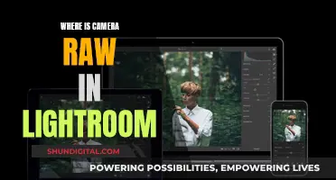 Finding Camera Raw in Lightroom: A Quick Guide