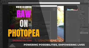 How to Access Camera Raw in Photopea