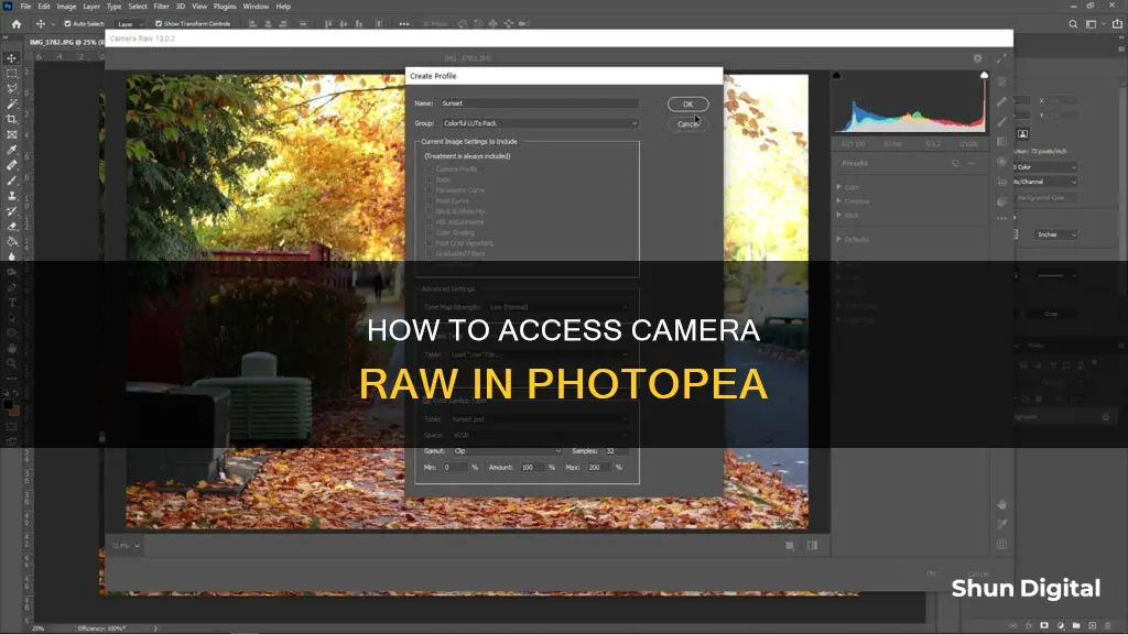 where is camera raw on photopea