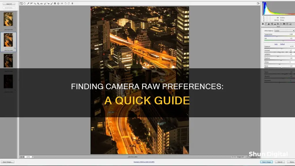 where is camera raw preferences