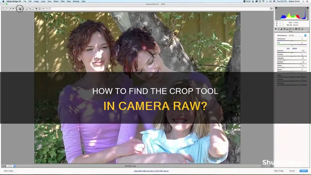 where is crop tool in camera raw