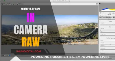 Finding Dehaze in Camera Raw: A Quick Guide