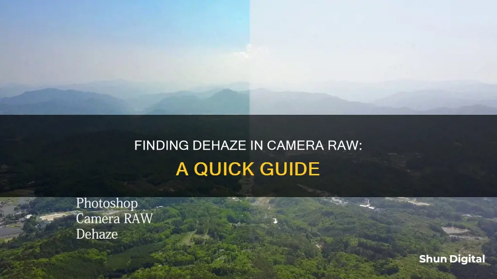 where is dehaze in camera raw