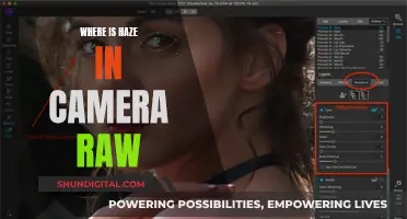 Understanding Camera Raw's Haze Removal Tool