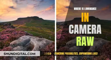 Understanding Camera Raw: Unlocking the Luminance Power