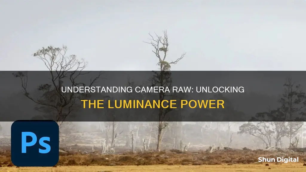 where is luminance in camera raw