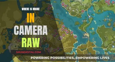 Unleash Camera Raw's Power: Discovering MIROE