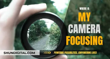 Mastering Camera Focus: Where Should Your Lens Look?