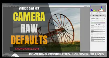 How to Save Camera Raw Defaults for Future Use