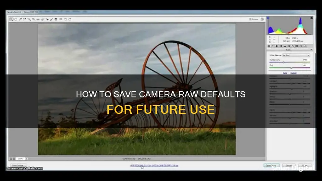 where is save new camera raw defaults