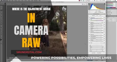 Where's the Adjustment Brush? Camera Raw's Essential Tool