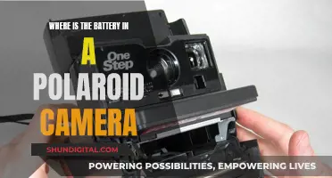 Polaroid Camera Battery: Where is it Located?