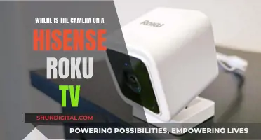 Hisense Roku TV Camera Location Explained