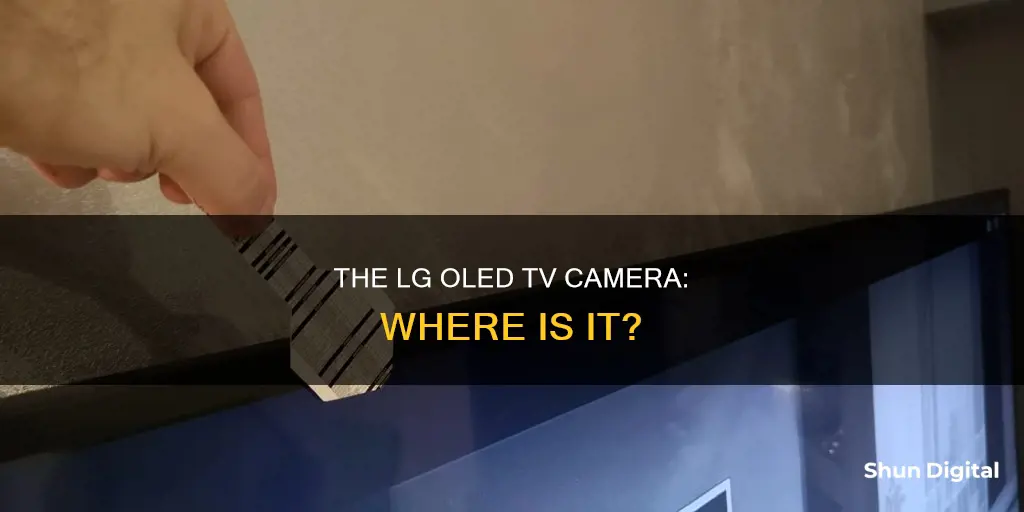 where is the camera on lg oled tv