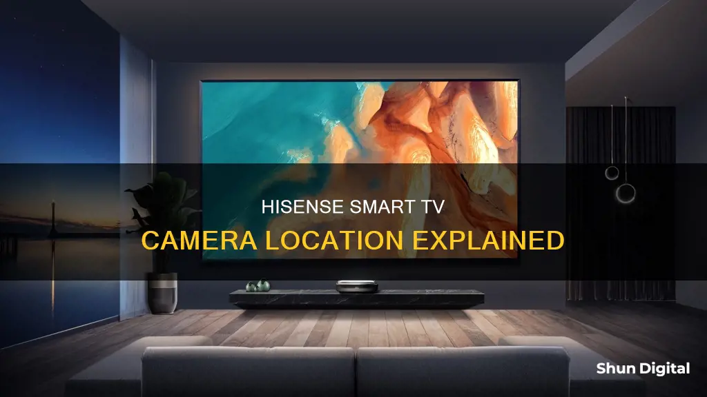 where is the camera on my hisense smart tv