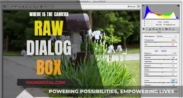 Finding the Camera Raw Dialog Box