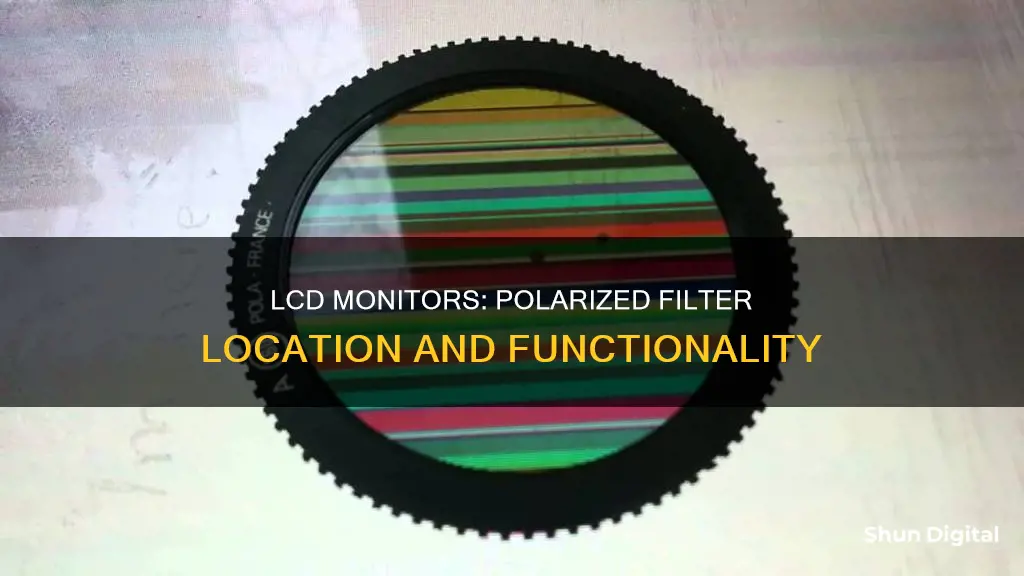 where is the polarized filter in a lcd monitor