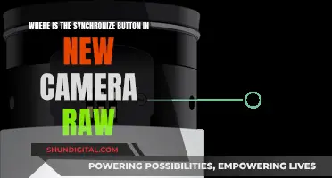 Finding the Synchronize Button in Camera Raw: A Quick Guide