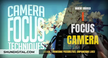 Focusing Your Camera: Capturing the Perfect Shot