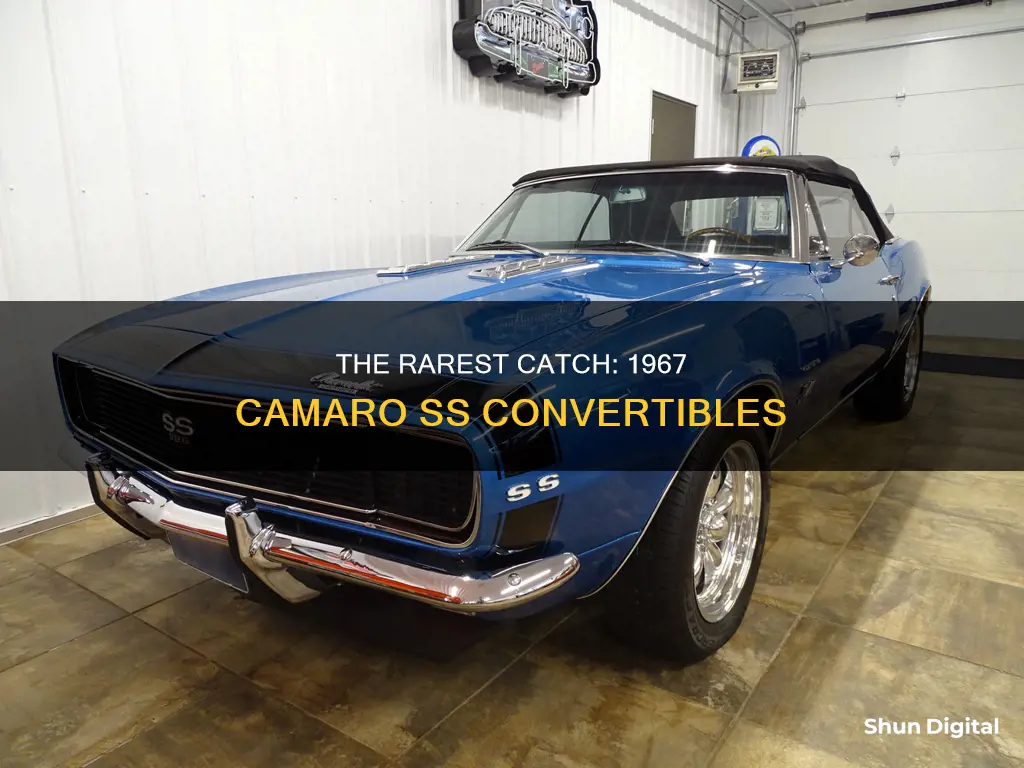 where there anny 1967 camero ss conertables made