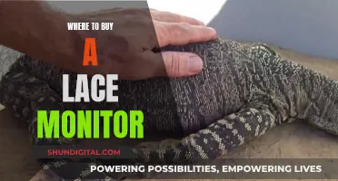 Lace Monitor Buying: Where to Purchase Your New Pet