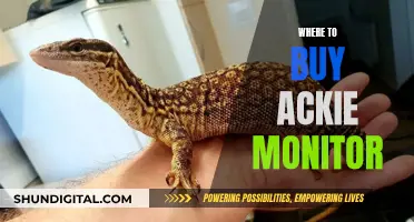 Best Places to Buy an Ackie Monitor