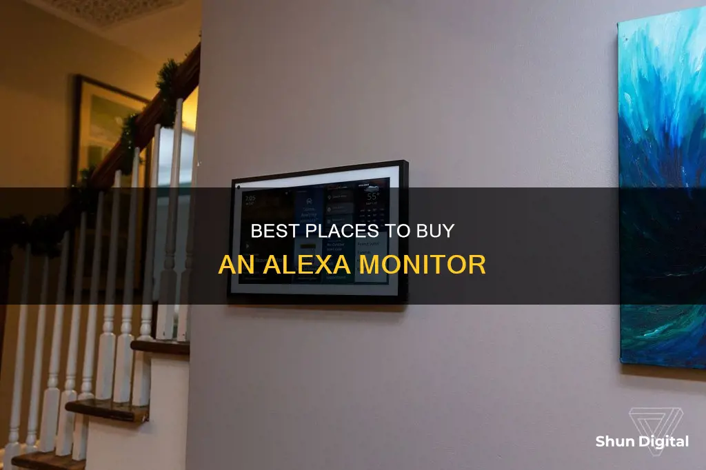 where to buy alexa monitor