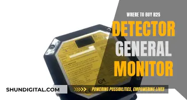 H2S Gas Detector: Buying Guide for General Monitor