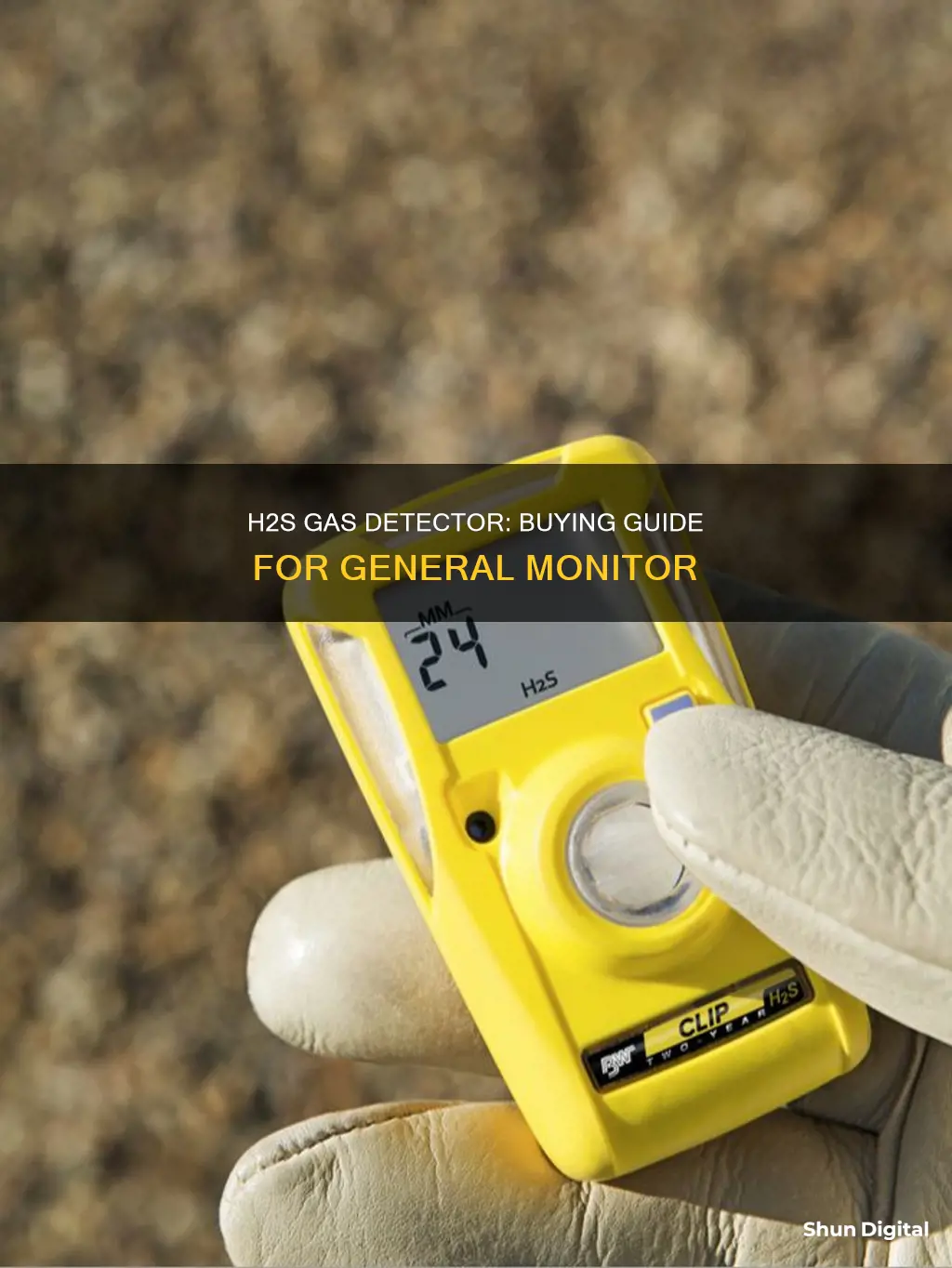 where to buy h2s detector general monitor