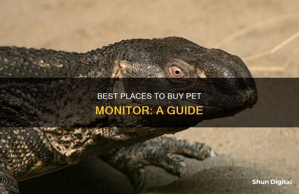 where to buy pet monitor