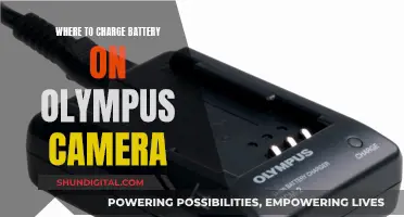 Charging Olympus Camera Batteries: Where and How?