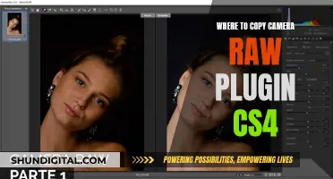 Get Camera Raw Plugin for CS4 With These Steps