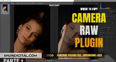 Get Camera Raw Plugin: Copy and Paste Guide