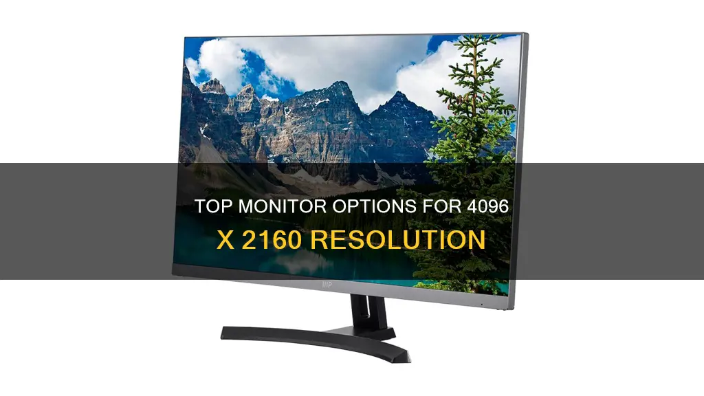 where to find monitors with 4096 x 2160