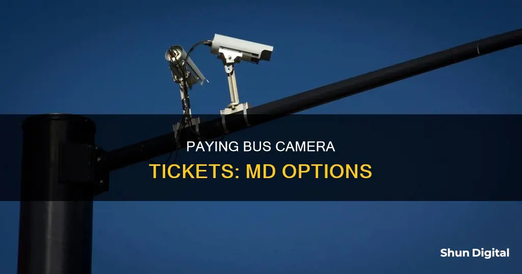 where to pay a bus camera ticket in md