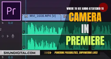 Viewing Audio Attached to Camera in Premiere Pro
