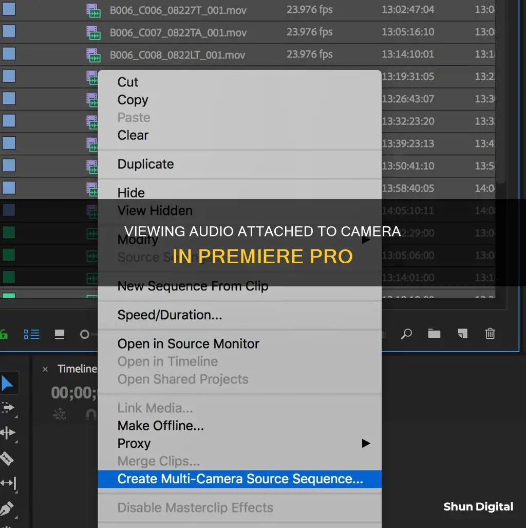 where to see audio attatched to camera in premiere